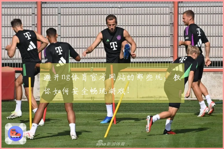 避开ng体育官方网站的那些坑，教你如何安全畅玩游戏！