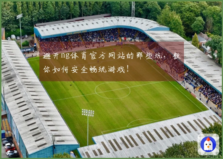 避开ng体育官方网站的那些坑，教你如何安全畅玩游戏！